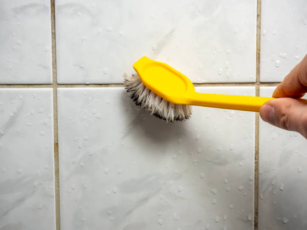 Best Fast Mold Removal  in Shippensburg University, PA