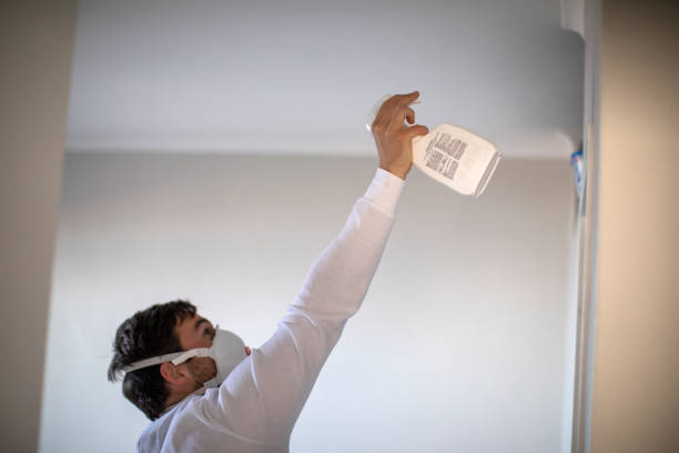 Certified Mold Removal in Shippensburg University, PA