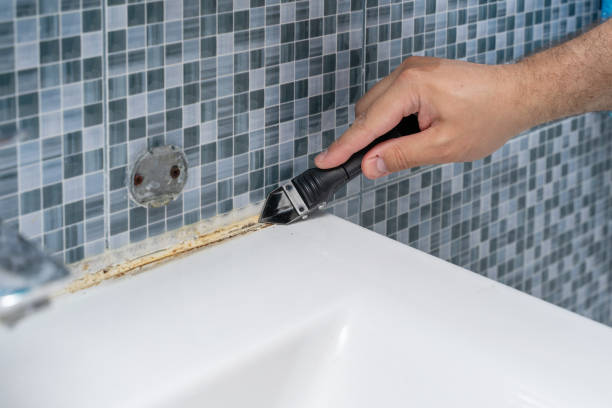 Home Mold Removal in Shippensburg University, PA